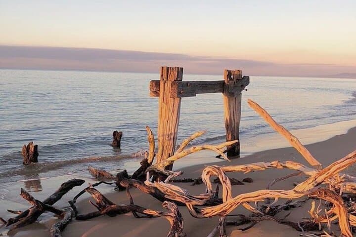 Self-Guided Bike Tour at Point Nepean National Park — Portsea Coastal Ride photo 6