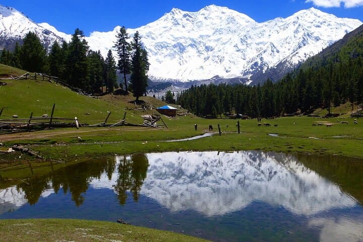 Nanga Parbat & Rakaposhi Base Camp Treks: 14-Day Fairy Meadows to Hunza Expedition photo 4