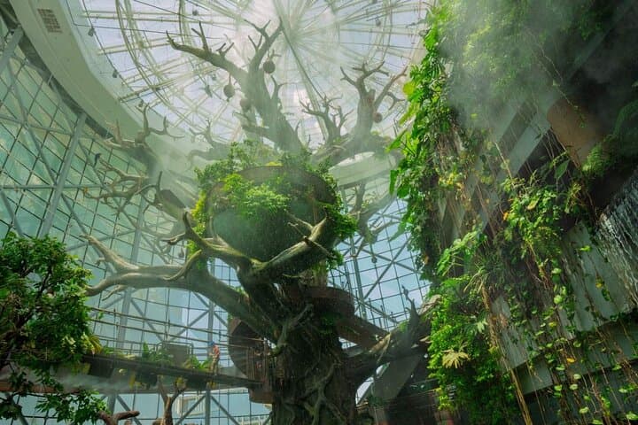 Inside The Green Planet Dubai: Tropical Rainforest Experience & Tickets photo 2