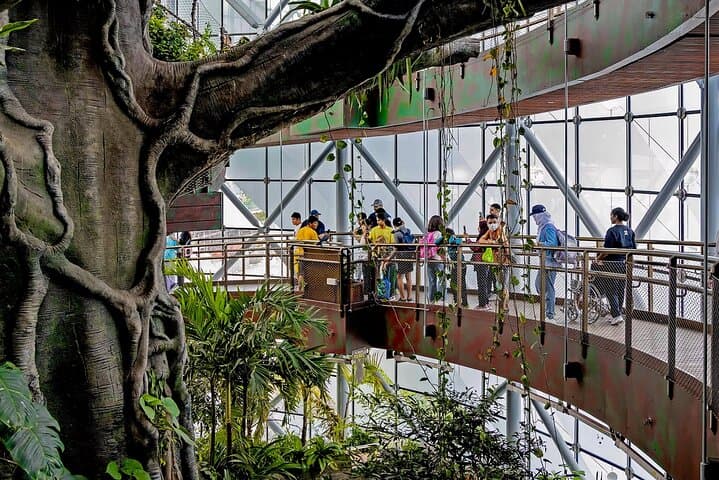 Inside The Green Planet Dubai: Tropical Rainforest Experience & Tickets photo 4