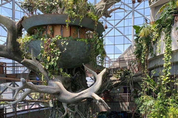 Inside The Green Planet Dubai: Tropical Rainforest Experience & Tickets photo 5
