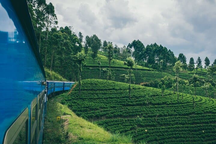 Kandy to Ella First-Class Scenic Train: Tea Country Rail Journey in Sri Lanka photo 3