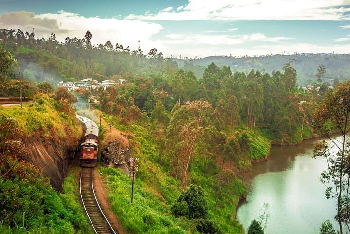 Kandy to Ella First-Class Scenic Train: Tea Country Rail Journey in Sri Lanka photo 4