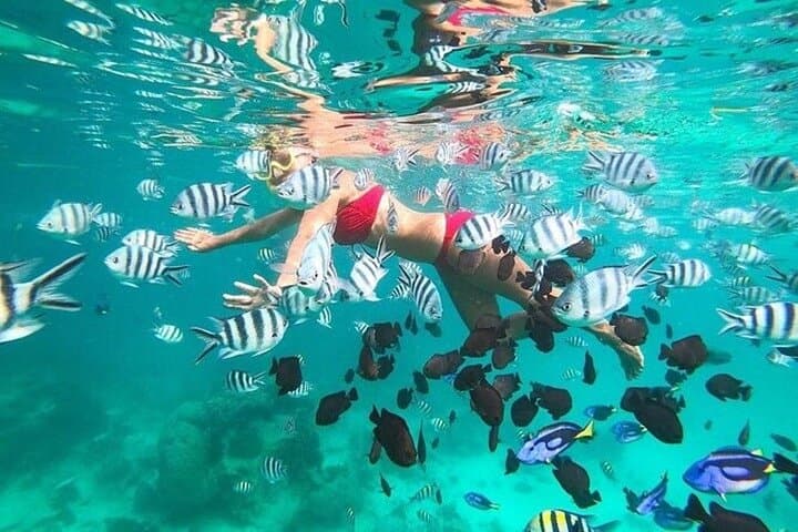 Prison Island (Changuu) Half-Day: Giant Tortoises, Snorkeling & History photo 3