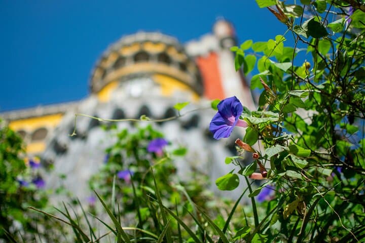 Skip-the-Line Pena Palace & Park Tickets — Explore Sintra’s Romantic Castle