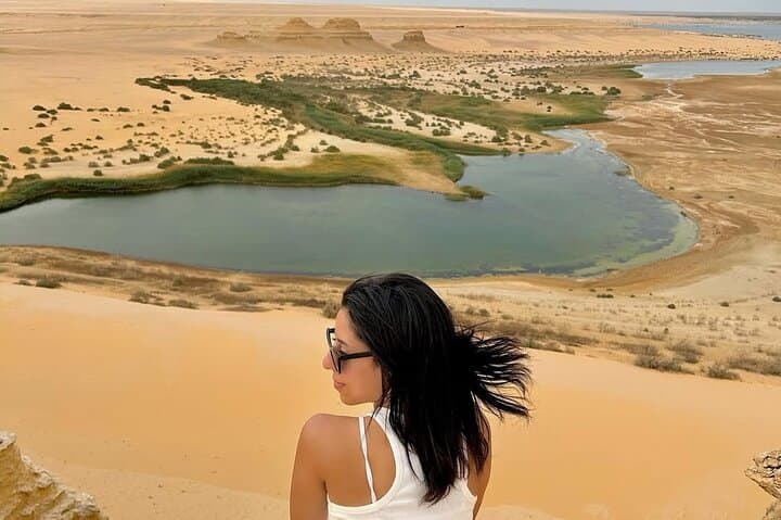Fayoum Oasis Safari: Wadi El-Rayan & Valley of the Whales Day Tour from Cairo
