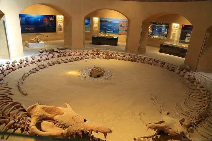 Fayoum Oasis Safari: Wadi El-Rayan & Valley of the Whales Day Tour from Cairo photo 4