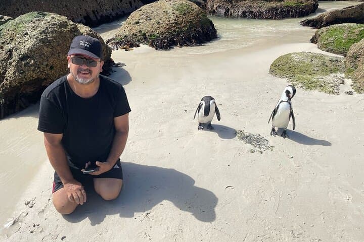 Table Mountain, Boulders Penguins & Cape Point — Full-Day Private Cape Town Tour photo 5