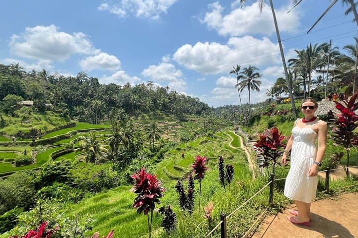 Scooter Ubud Tour: Rice Terraces, Holy Spring & Tukad Cepung Waterfall photo 6