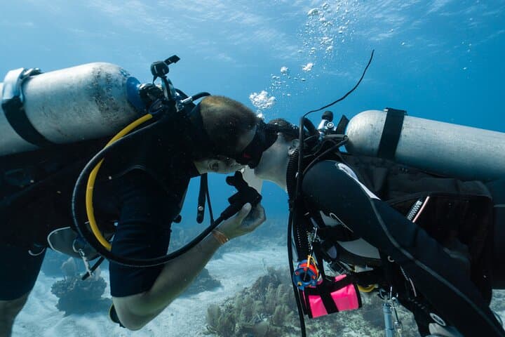 Beginner Scuba Dives in Side, Turkey — 2 Guided Dives with Lunch & Transfers photo 4