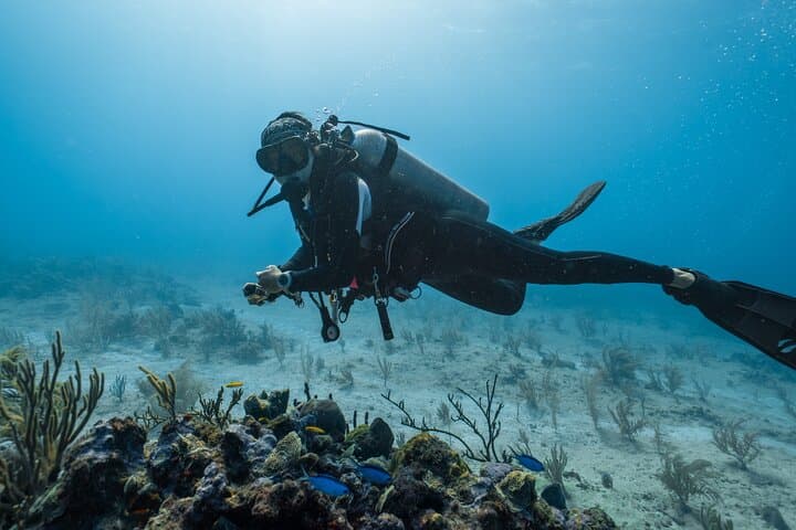 Beginner Scuba Dives in Side, Turkey — 2 Guided Dives with Lunch & Transfers photo 5