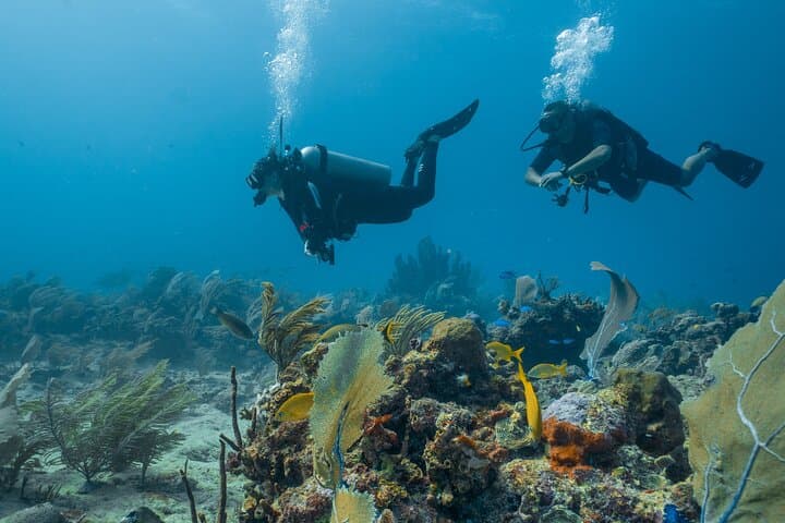 Beginner Scuba Dives in Side, Turkey — 2 Guided Dives with Lunch & Transfers photo 6