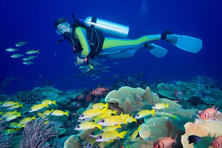Beginner Scuba Dives in Side, Turkey — 2 Guided Dives with Lunch & Transfers photo 3