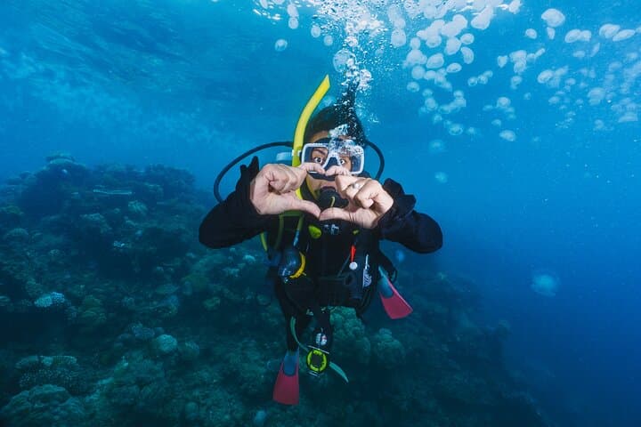 Beginner Scuba Dives in Side, Turkey — 2 Guided Dives with Lunch & Transfers