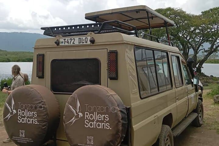 3-Day Serengeti & Ngorongoro Safari: Big Five Game Drives from Arusha