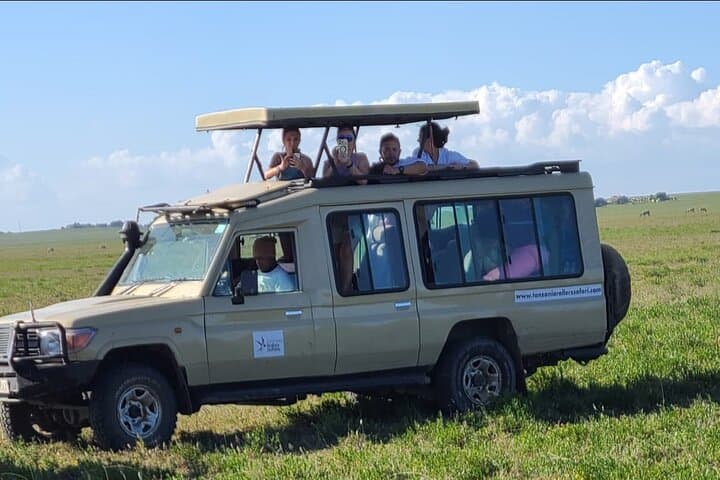 3-Day Serengeti & Ngorongoro Safari: Big Five Game Drives from Arusha photo 3