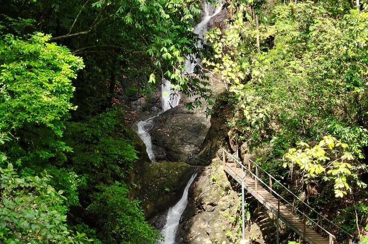 Waterfalls & White-Faced Monkeys Tour from Jacó — Crocodile Bridge to Natural Pools