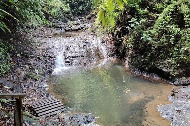 Waterfalls & White-Faced Monkeys Tour from Jacó — Crocodile Bridge to Natural Pools photo 5