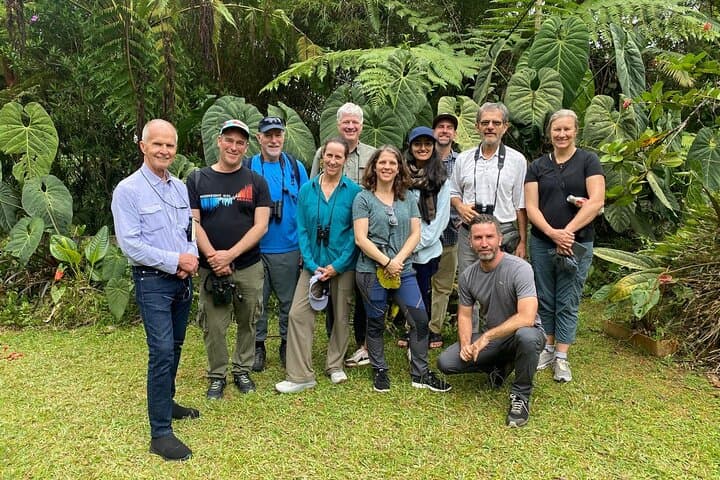 KM18 Cloud Forest Birdwatching & Botany Tour from Cali photo 2