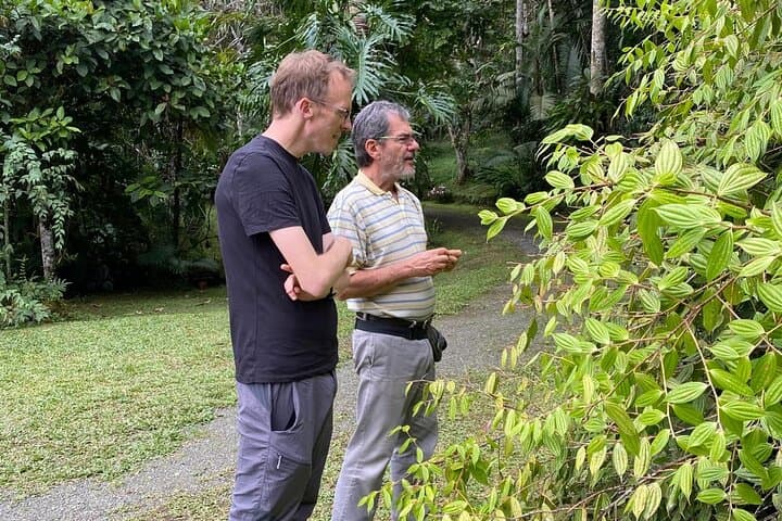 KM18 Cloud Forest Birdwatching & Botany Tour from Cali photo 5