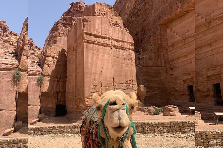 Petra and Wadi Rum: 2-Day VIP Bubble & 3-Hour Jeep Adventure from Amman