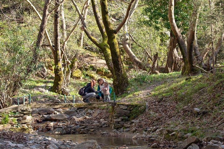 Ikaria Hiking: Alama's Springs Day Hike from Evdilos to Akamatra photo 5