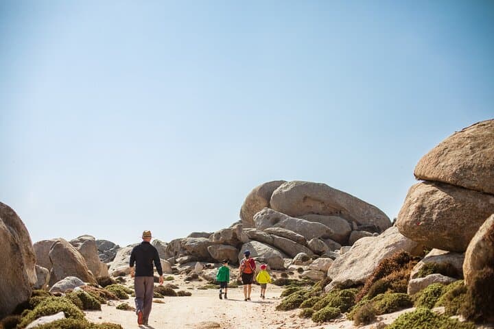 Kickstart Ikaria: West Coast Villages, Beaches & Traditional Taverna Lunch photo 2
