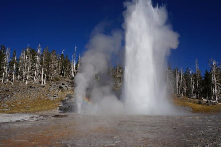 Half-Day Private Yellowstone Geyser Basin Tour — Old Faithful & Grand Prismatic photo 3