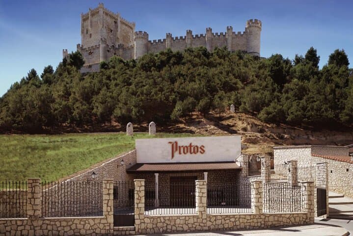 3-Day Wine Tour: Chinchón, Segovia & Peñafiel Wineries from Madrid photo 4