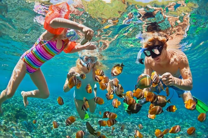 Fort Amsterdam Hike & Snorkel — St. Maarten Nature and Great Bay Adventure photo 3
