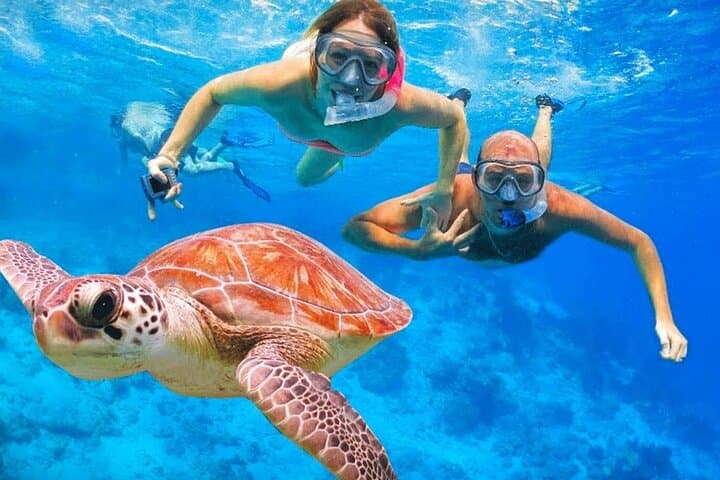 Fort Amsterdam Hike & Snorkel — St. Maarten Nature and Great Bay Adventure photo 4
