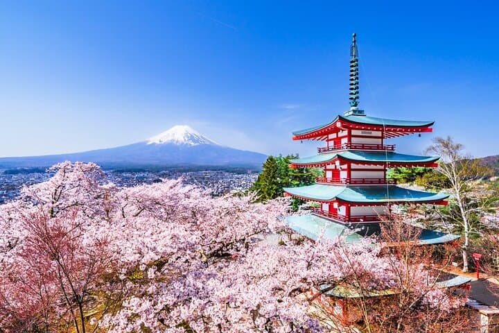 Private Mt Fuji and Hakone Full-Day Tour with English-Speaking Driver from Tokyo photo 5