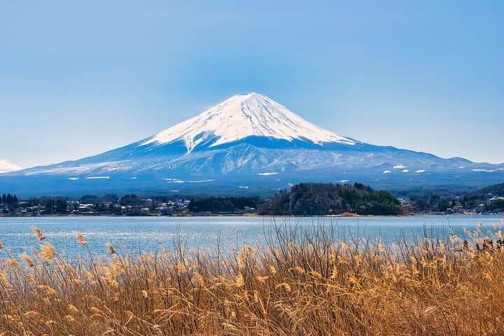 Private Mt Fuji and Hakone Full-Day Tour with English-Speaking Driver from Tokyo