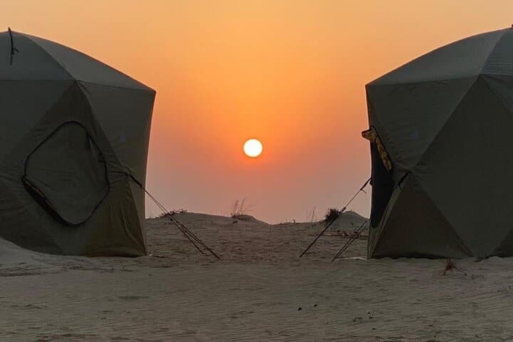Dream Salalah Desert Sunset Tour: Frankincense Wadi, Ubar & Rub al Khali Sunset photo 2
