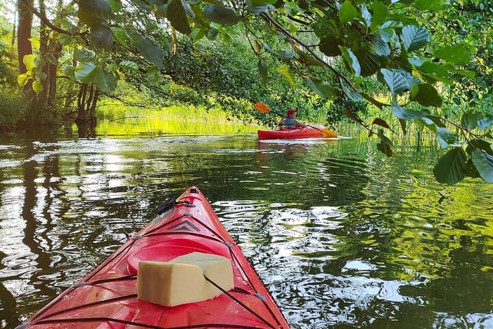 Paddle Lake Jamno: Kayak Rentals in Mielno for Calm-Water Exploration photo 4