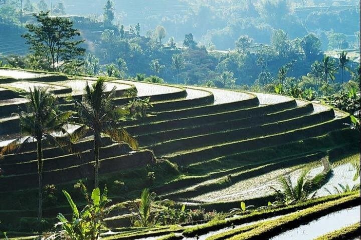 Bali Water Temples and UNESCO Jatiluwih: Private Day Tour from Seminyak photo 2