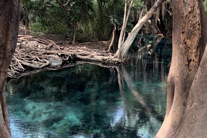 Kikuletwa Hot Springs & Maasai Village Day Trip from Moshi photo 3