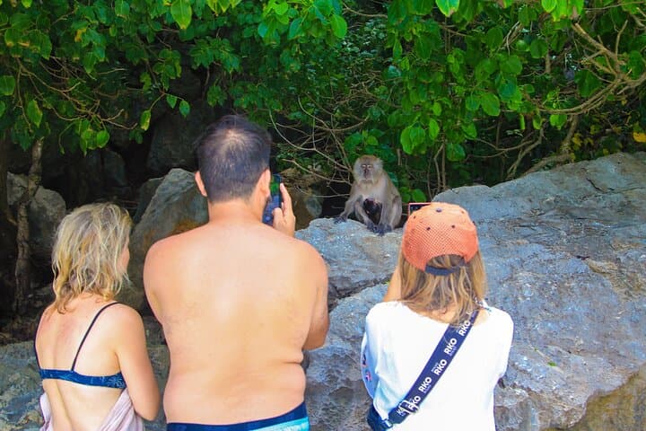 Longtail Snorkeling to Maya Bay from Phi Phi — Snorkel, Beaches & Limestone Lagoons photo 4