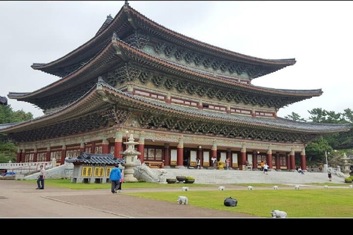 Discover Jeju Island: A Private Full-Day Tour of South and East Highlights photo 3