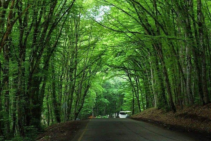 Shahdag Ski & Khizi Candy Mountains: Full-Day Guided Tour from Baku photo 3