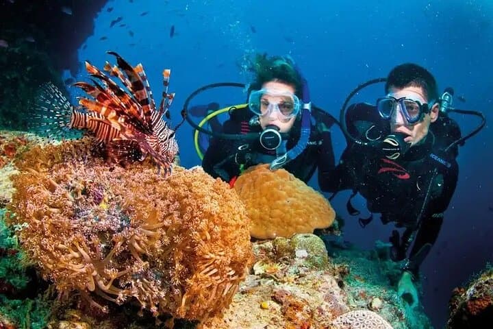 Hidden Full-Day Island Life Tour in Phu Quoc: Speedboat Fishing, Snorkeling & Beach BBQ photo 3