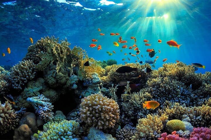 Hidden Full-Day Island Life Tour in Phu Quoc: Speedboat Fishing, Snorkeling & Beach BBQ photo 4