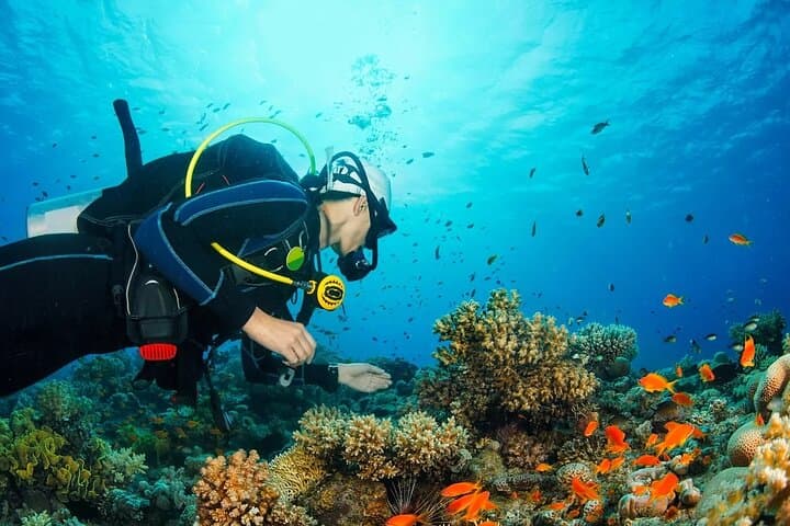 Hidden Full-Day Island Life Tour in Phu Quoc: Speedboat Fishing, Snorkeling & Beach BBQ