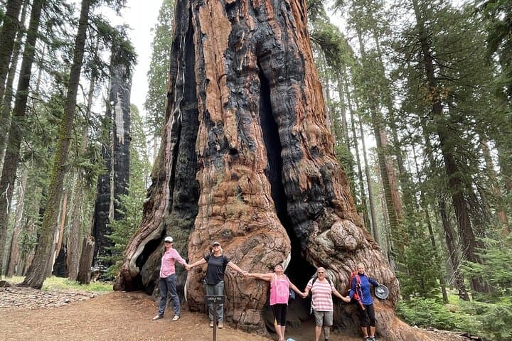 Transformative Day Retreat Among the Giant Sequoias — Giant Forest