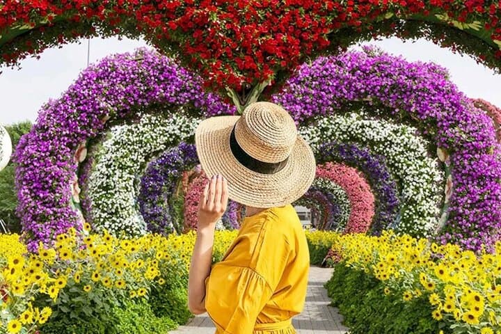 Skip-the-Line Dubai Miracle Garden Ticket with Hotel Transfer photo 2