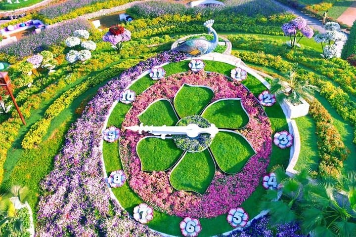 Insider Guide: Dubai Miracle Garden Skip-the-Line Ticket with Hotel Transfer photo 5