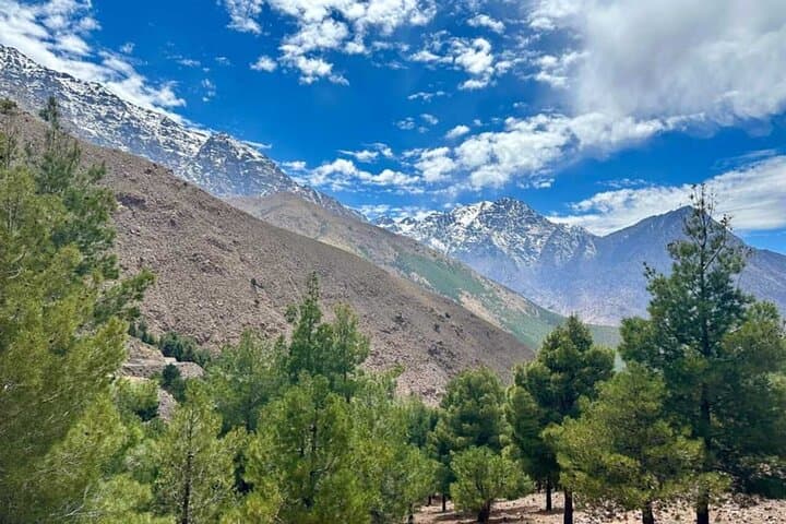 Tedli Summit Day Hike from Marrakech — High Atlas 2,500m Adventure