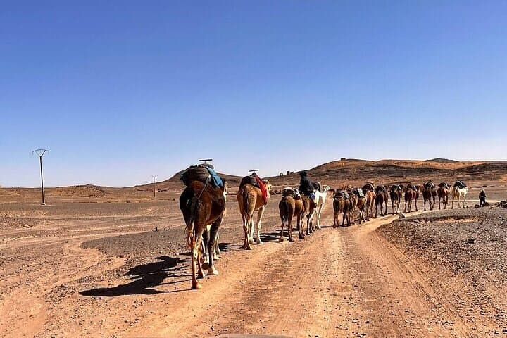 3-Day Sahara Tour from Errachidia to Merzouga: Camel Trek, Nomads & Luxury Desert Camp photo 4