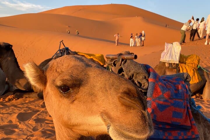 3-Day Sahara Tour from Errachidia to Merzouga: Camel Trek, Nomads & Luxury Desert Camp photo 2