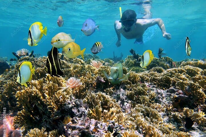 Rosary Islands Day Trip from Cartagena — Snorkel Coral Reefs & Beach Time photo 2